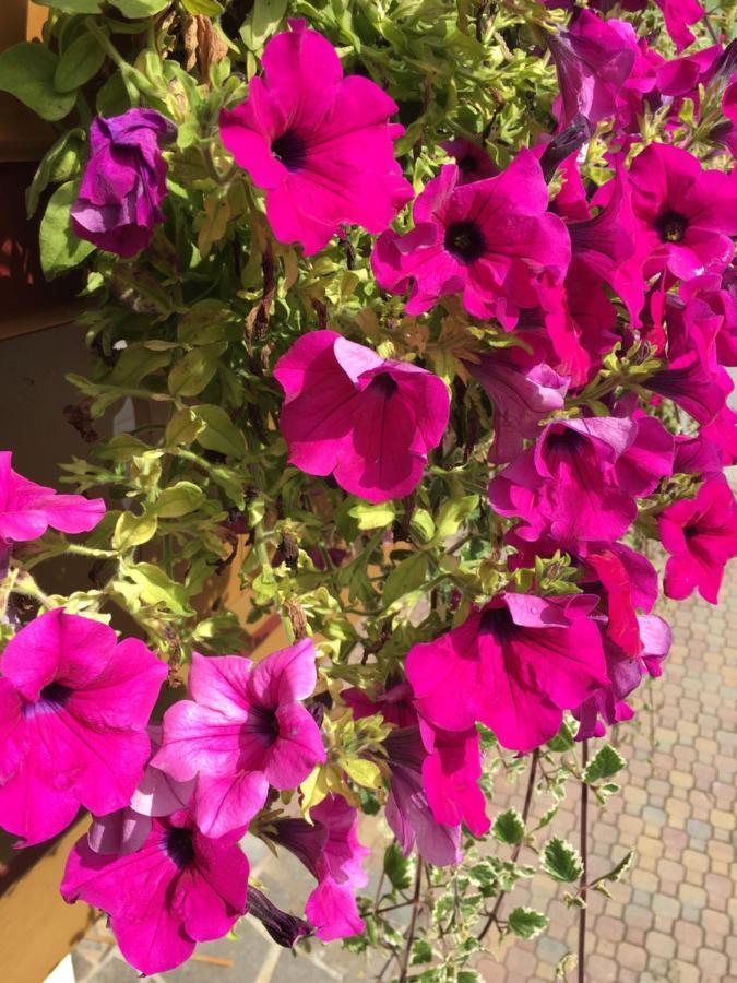 Ferienwohnungen Floerl Zell am Ziller Buitenkant foto